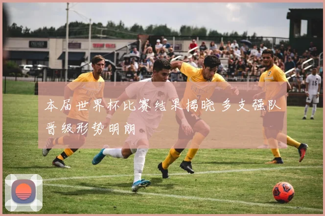 本届世界杯比赛结果揭晓 多支强队晋级形势明朗
