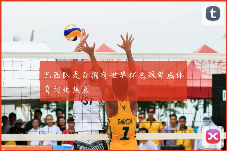 巴西队是否拥有世界杯总冠军成体育讨论焦点