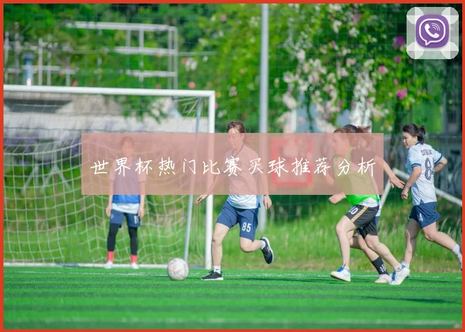 世界杯热门比赛买球推荐分析