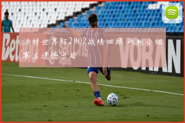 沙特世界杯2002战绩回顾 两轮小组赛后遗憾出局