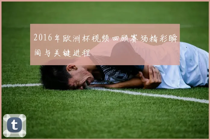 2016年欧洲杯视频回顾赛场精彩瞬间与关键进程