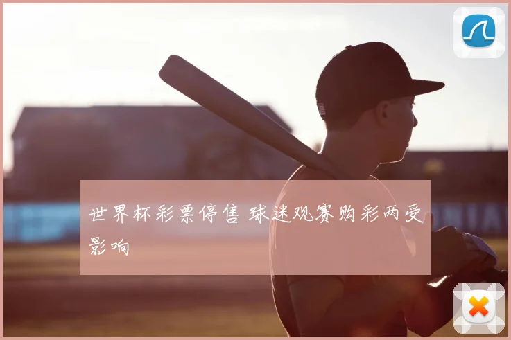 世界杯彩票停售 球迷观赛购彩两受影响