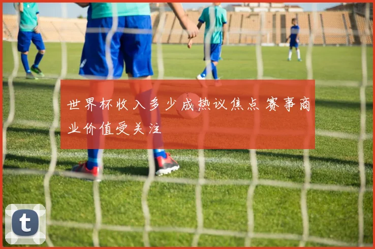 世界杯收入多少成热议焦点 赛事商业价值受关注