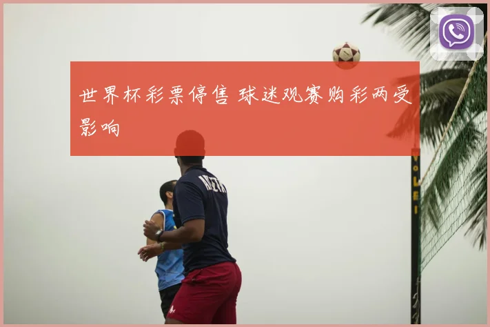 世界杯彩票停售 球迷观赛购彩两受影响