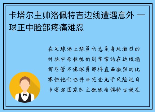 卡塔尔主帅洛佩特吉边线遭遇意外 一球正中脸部疼痛难忍